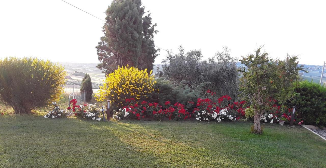 Villa In Collina Sul Mare... Montenero di Bisaccia Exterior foto